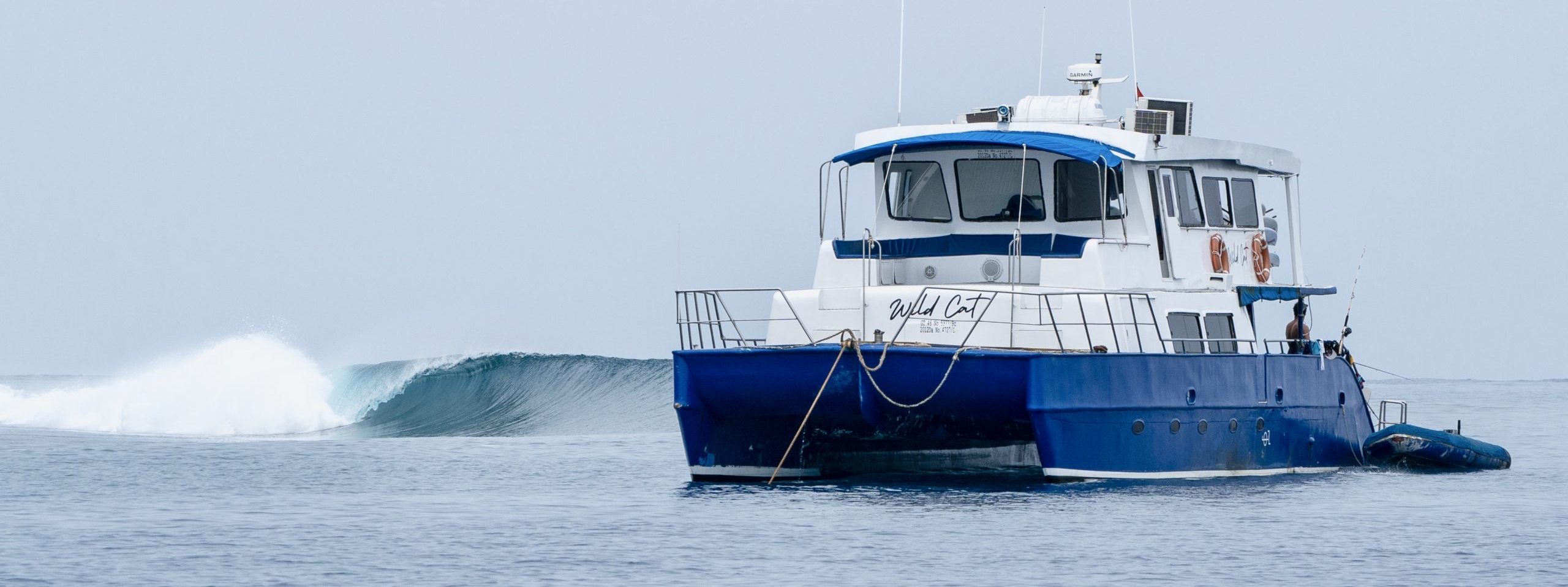 Wild Cat Surf Charters