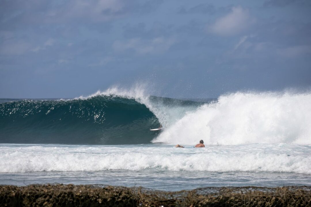 Barton Kandooma 2023