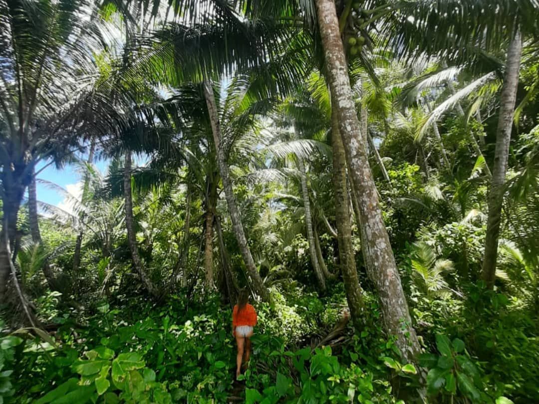 Trekking through the jungle Mentawai