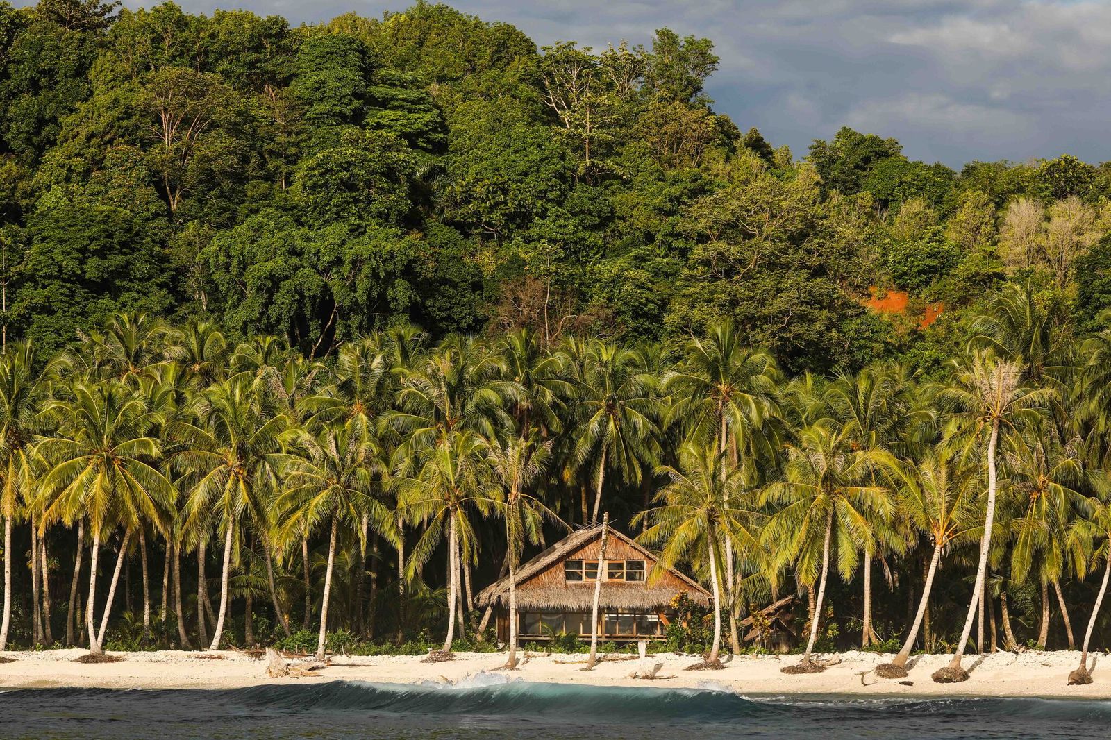 Bilou looking beautiful.