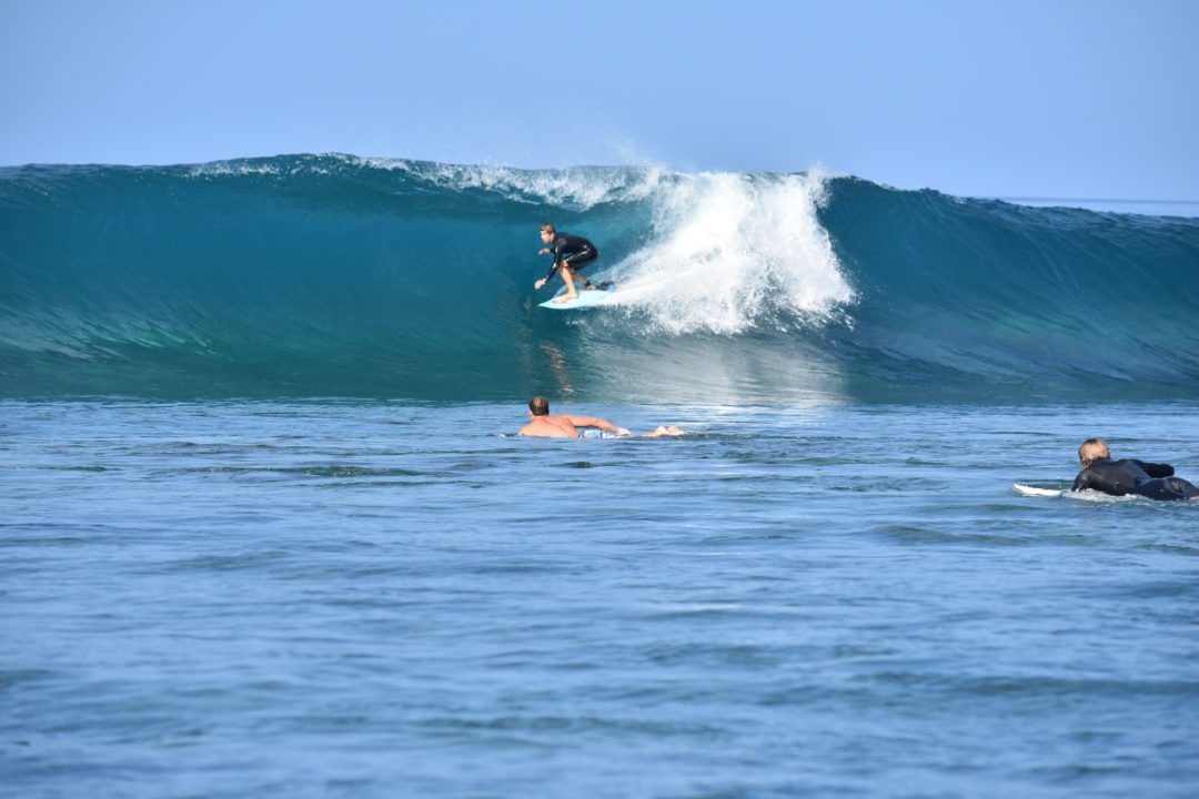 Surfer at Matanivusi Resort
