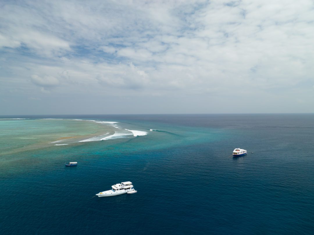 Surf Sojourn Maldives Surf Charter