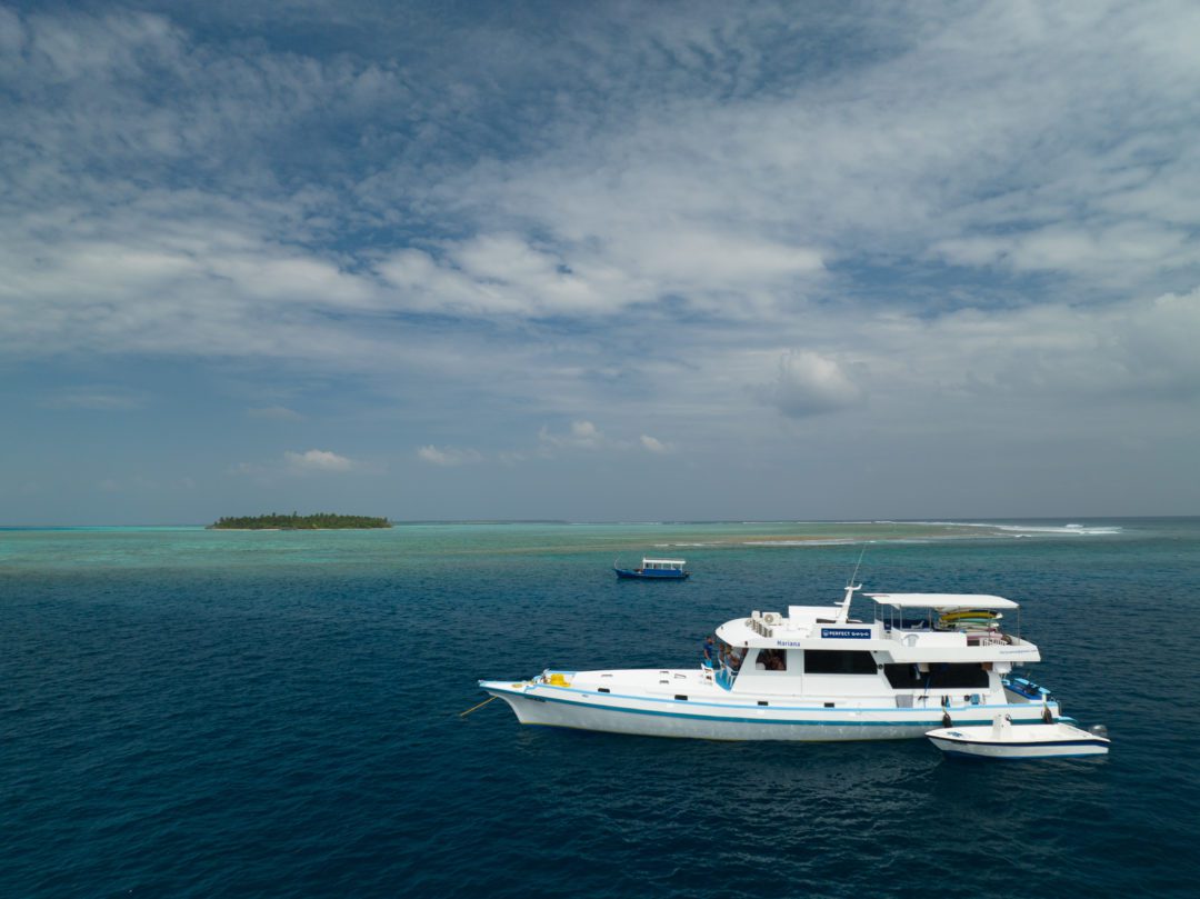 Surf Sojourn Maldives Surf Charter