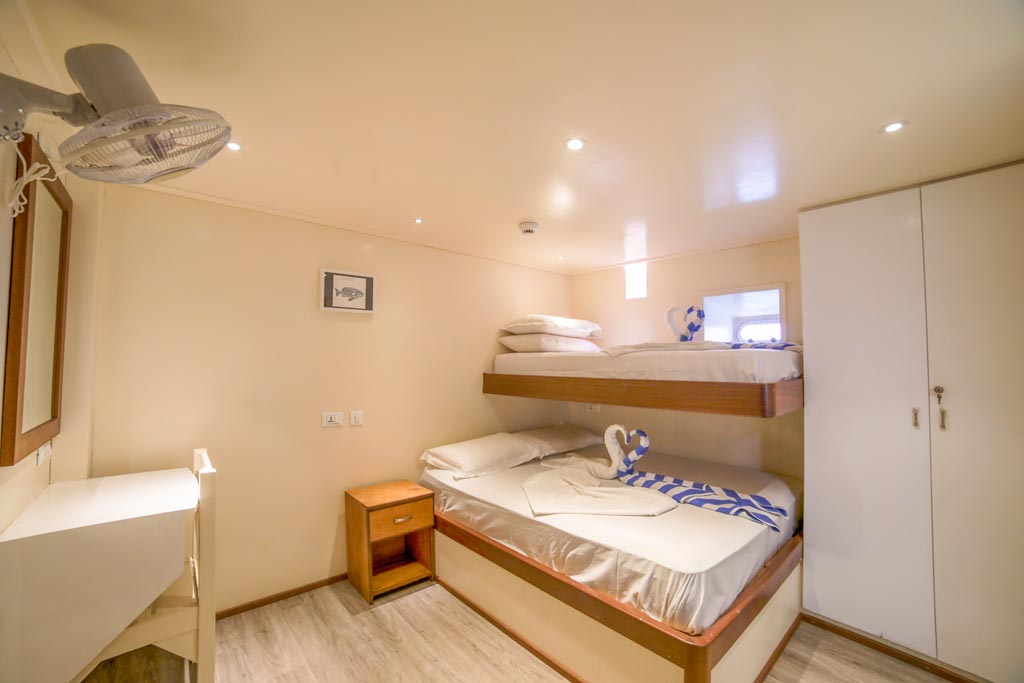 En-suite cabins with bunk beds