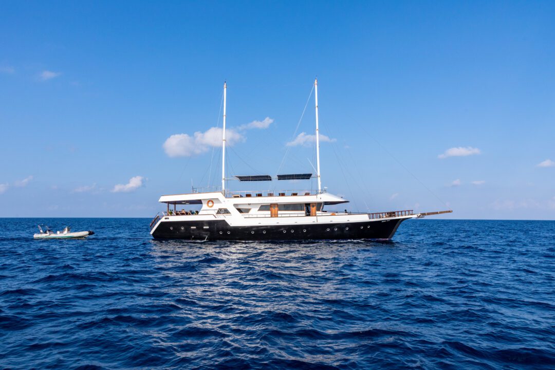 Gurahali Maldives surf holiday