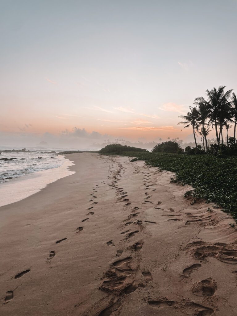 Sri Lanka surf holidays