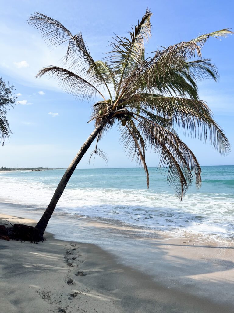 Sri Lanka surf holidays