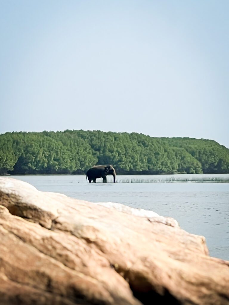 Sri Lanka surf holidays