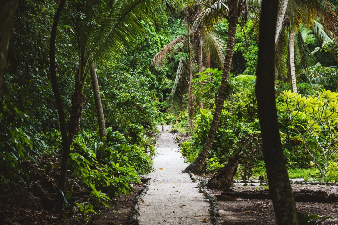 Na Finua Surf Retreat Solomon Islands